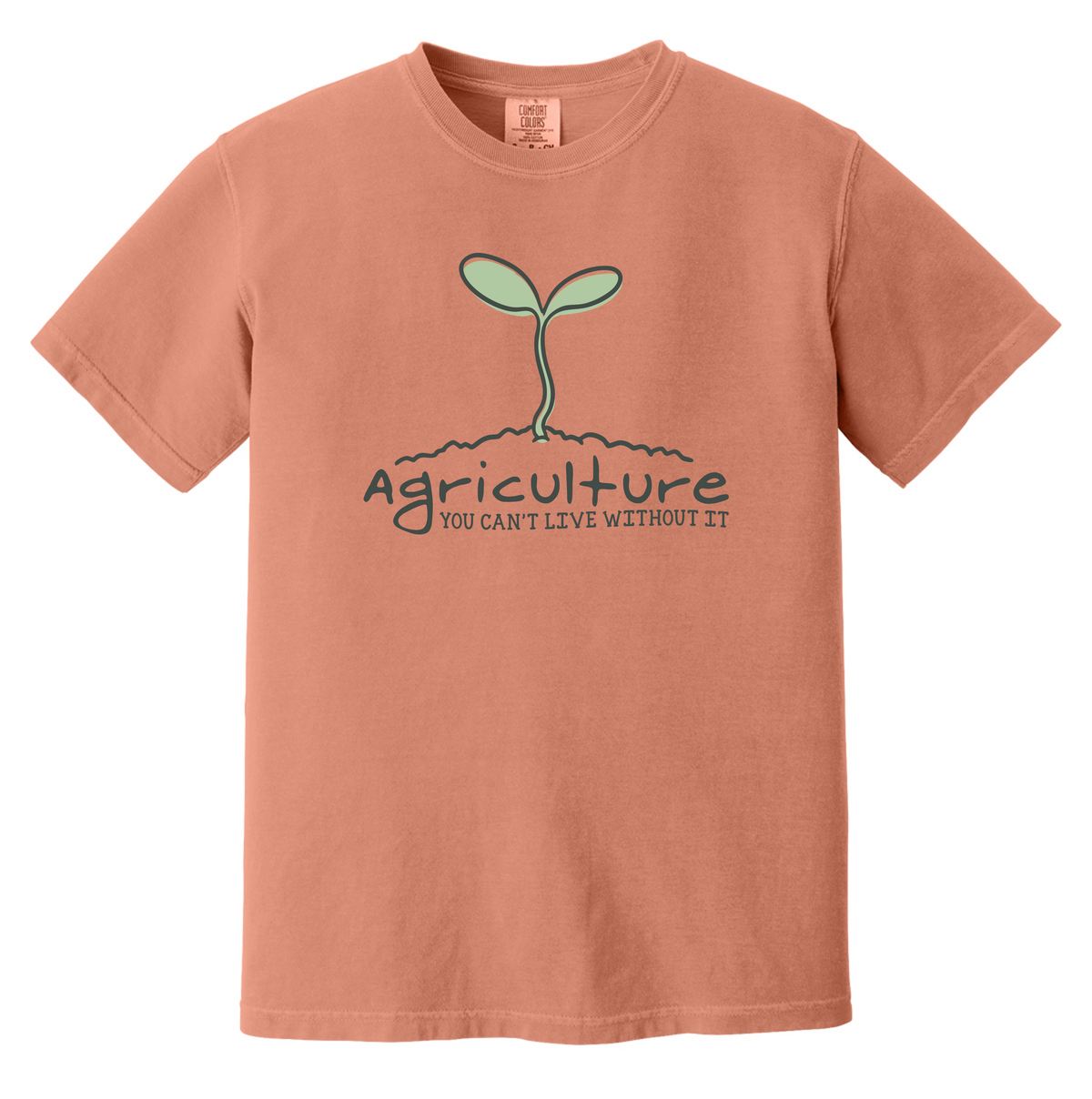 Comfort Colors® Short Sleeve TERRACOTTA 1717