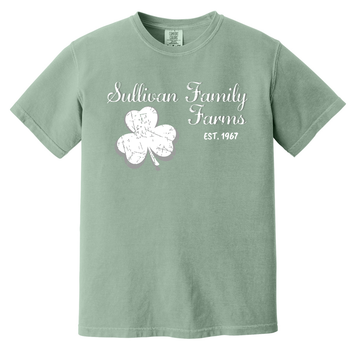 Comfort Colors® Short Sleeve BAY 1717