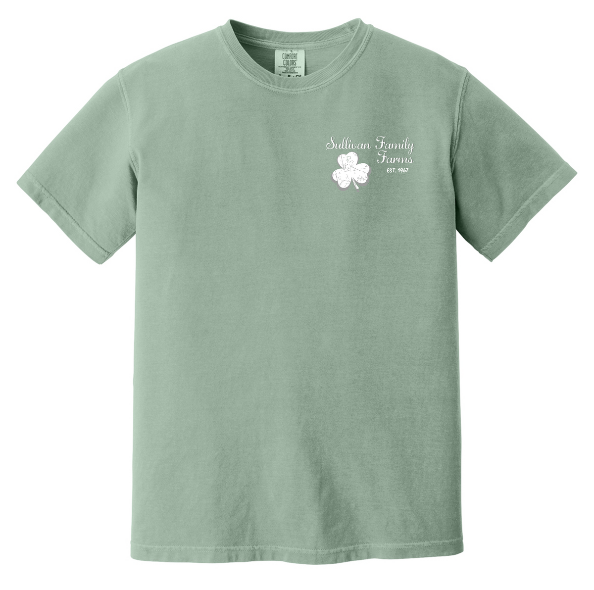 Comfort Colors® Short Sleeve BAY 1717
