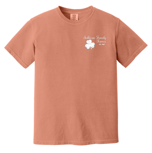 Comfort Colors® Short Sleeve TERRACOTTA 1717