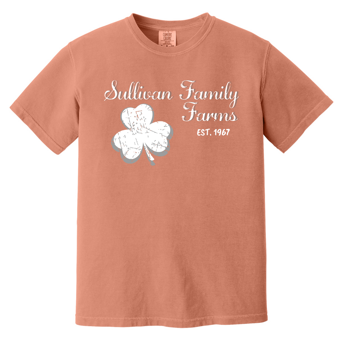 Comfort Colors® Short Sleeve TERRACOTTA 1717