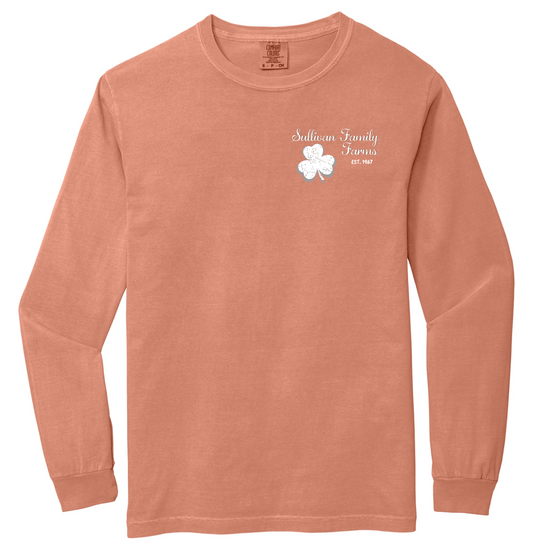 Comfort Colors® Long Sleeve TERRACOTTA 6014