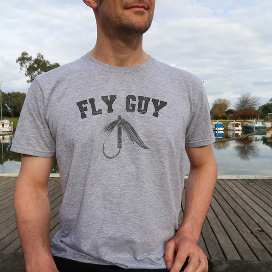Fly Guy