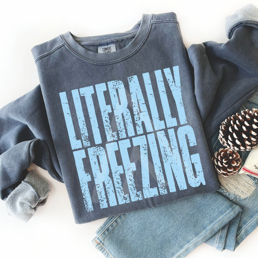 Literally Freezing Sweatshirt
